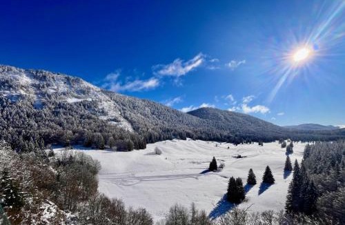 Saint-Martin-en-Vercors Hotel | Restaurant Hôtel du Vercors