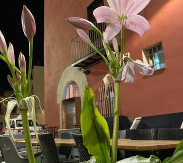 Sant Mateu House | Restaurant & Rooms Cabrit