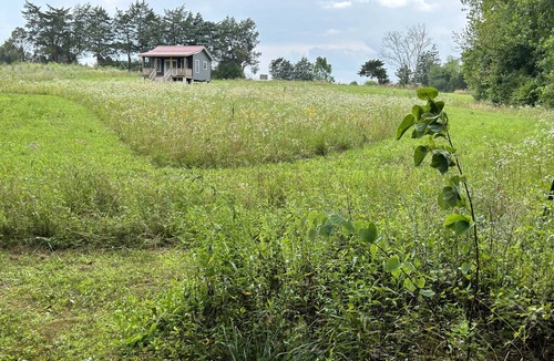 Cullen Cottage | Restful new cottage facing woods and paths near historic sites & biking trails