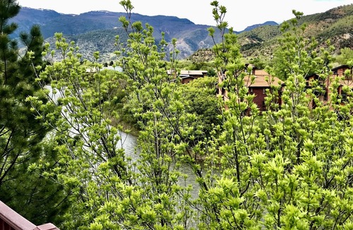 Glenwood Springs House | Restful Retreat on the River, minutes from downtown