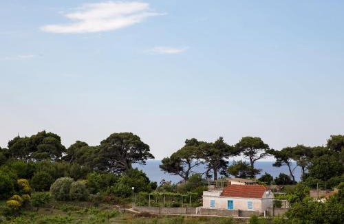 Kolocep Island Villa | Restful Villa in Dalmatia with Garden