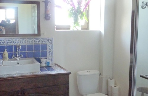 Roeze-sur-Sarthe House | Restored family manor - Great Room and its private bathroom
