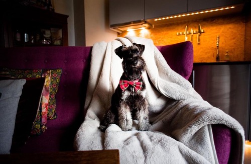 Cottered House | Retreat - Bethnal