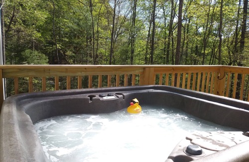Hendersonville House | Retreat In The Woods Yet Close To Everything!
