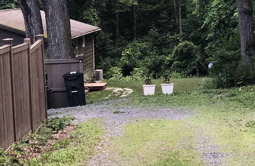 Trumansburg House | Retreat-Like Setting