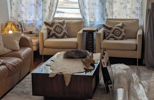 Wake Forest House | Retreat within walking distance of Downtown Wake Forest and nature trails