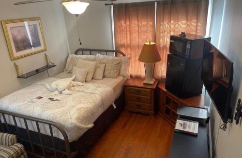 Sanford House | Retro Ranchhouse - Main Bedroom