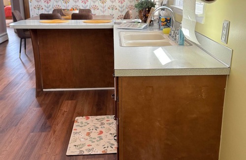Birch Run Township House | Retro Rewind