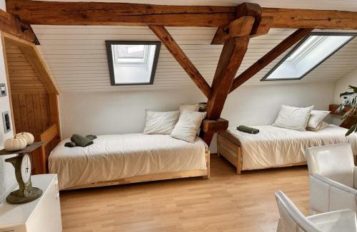 Glarus Apartment | Revier belle étage