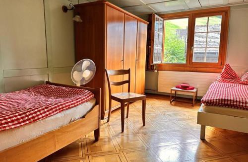 Luchsingen House | Revier Hazzo's Biasca