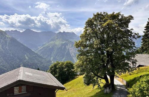 Braunwald House | Revier mon désir