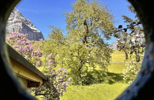 Schwanden House | Revier Natur pur