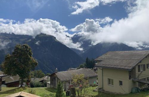 Braunwald House | Revier Silberdistel im Schwettiberg