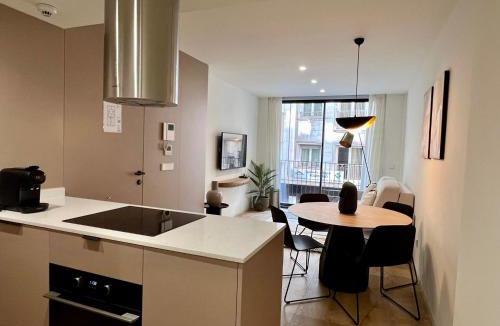 Ensanche Diputacion Apartment | Reyes Católicos Premium Homes