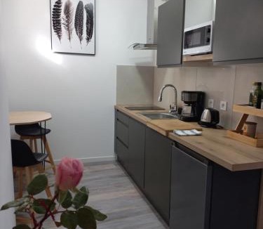 Viviers Apartment | Rhône Studio avec terrace parking privé