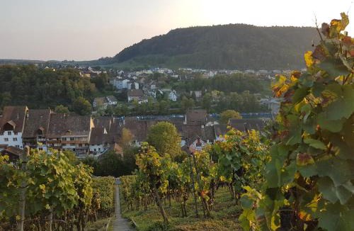 Eglisau Bed & Breakfast | Rhii B&B