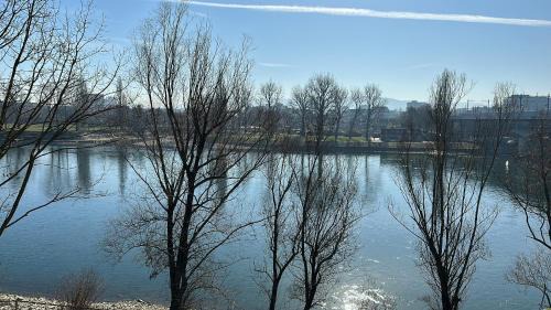 Basel Apartment | Rhine view