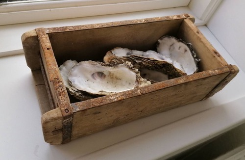 Ribe House | Ribe Guesthouse