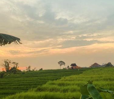 Babakan House | Ricefield View 2 BR villa near Canggu