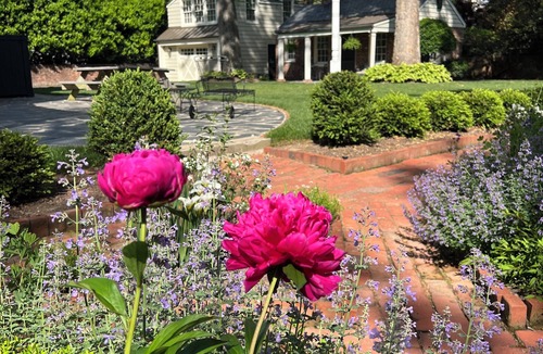 Richmond Cottage | Richmond Near West End, Charming Private Cottage
