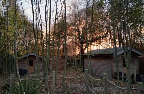 Giltbrook Other | Riddings Wood lodges