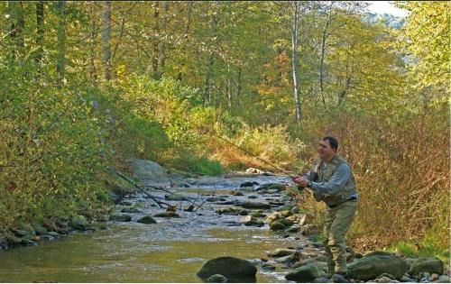 Foscoe House | Ridge Haven Lodge at Echota