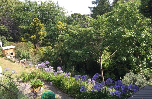 Havelock North House | Ridgetop Retreat