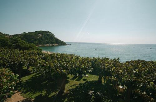 Lloret de Mar Hotel | Rigat Park & Spa Hotel - Adults Recommended