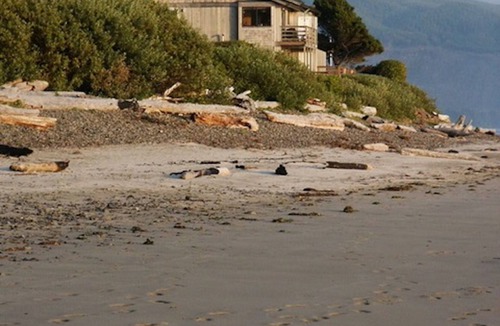 Netarts Condo | Right on the Beach, Gorgeous Views, Affordable