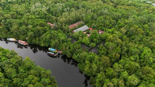 Kalimantan Cabin | Rimba Orangutan Ecolodge