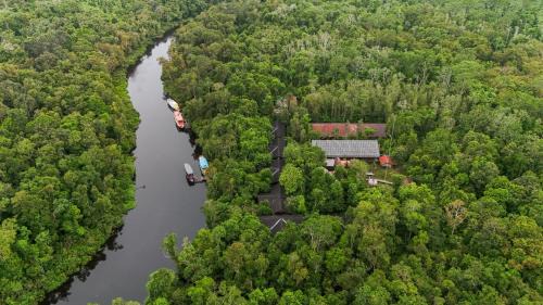Kalimantan Cabin | Rimba Orangutan Ecolodge