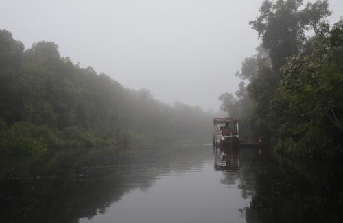 Kalimantan Cabin | Rimba Orangutan Ecolodge