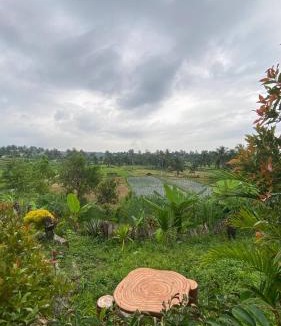 Kecamatan Pringgasela House | Rinjani Edelweis Homestay