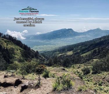 Bayan Other | Rinjani Trekking Specialist