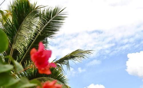 Selong Belanak House | Ripbowl Guest House