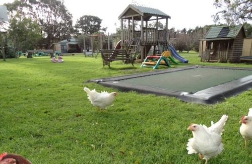 Ventnor House | Ripples n Tonic