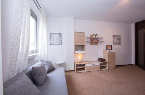 Lugano Apartment | Riscossa Apartments