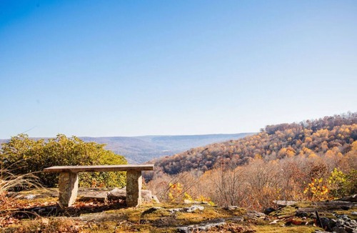 Sewanee Cabin | Rising Sun Retreat, 15 Acres on a Bluff - Sleeps 14+