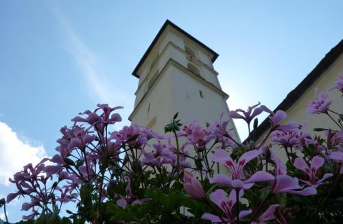 Selma Bed & Breakfast | RistoBar B&B al Pont