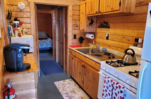 Wheelock Cabin | River Bend Cabin Moose