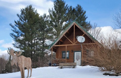 Wheelock Cabin | River Bend Cabin Moose