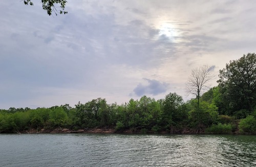 Beech Grove Cabin | River Bridge Bungalow - Located directly on the Current River in Arkansas