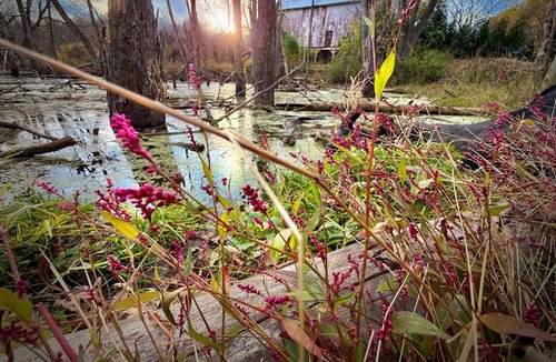 Bakerton Apartment | River Chase Cottage on the Potomac