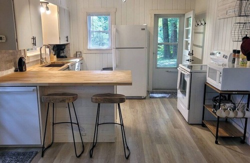 Big Rapids Cabin | River Cottage Hot Tub Firepit Wi-Fi Dog Friendly