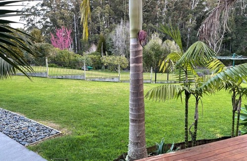 Waipapa Cottage | River Duck Cottage - Kerikeri - Peaceful Location