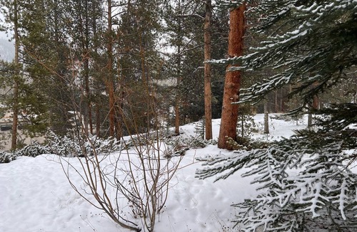 Lakeside Village Condo | River front w fireplace, hot tub bus stop at door, convenient & private