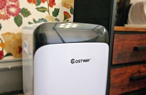 West End Apartment | River Haven Edinburgh