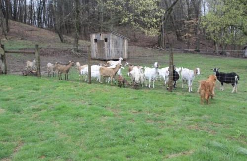 Ella House | River Lane Cottage