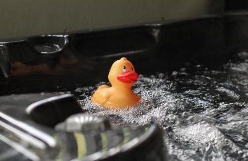 Bathgate Cabin | River Logie Lodges