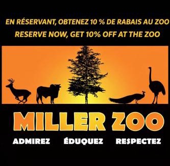 Frampton Ski Chalet | River & Miller Zoo - Louna-Nuage Shack